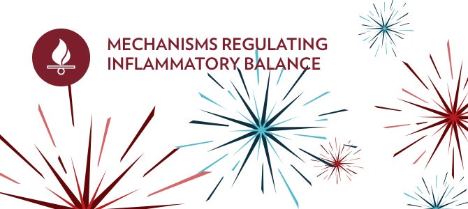 Mechanisms Regulating Inflammatory Balance Regulating inflammatory balance with Aging Defense Mechanisms